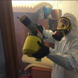 Уничтожение клопов в квартире. Тюкалинск